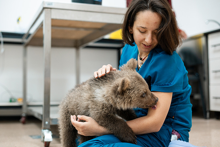 F 3Datvis Beli Kampussi